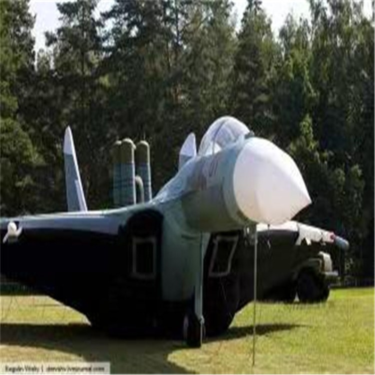 哈尔滨充气模型飞机制造商家